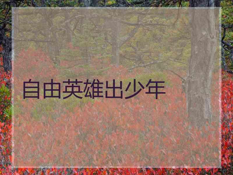 自由英雄出少年 自由英雄出少年