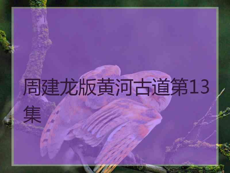 周建龙版黄河古道第13集 周建龙版黄河古道第13集