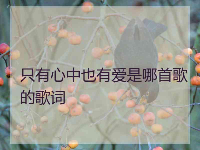 只有心中也有爱是哪首歌的歌词 只有心中也有爱是哪首歌的歌词