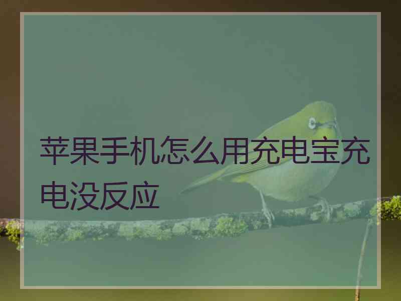 苹果手机怎么用充电宝充电没反应 苹果手机怎么用充电宝充电没反应