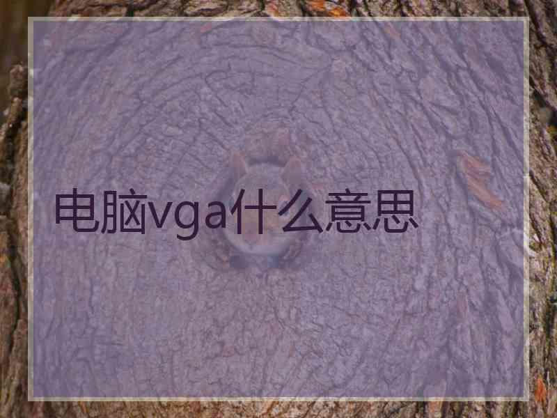 电脑vga什么意思 电脑vga什么意思
