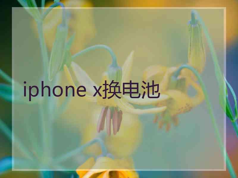 iphone x换电池 iphone x换电池