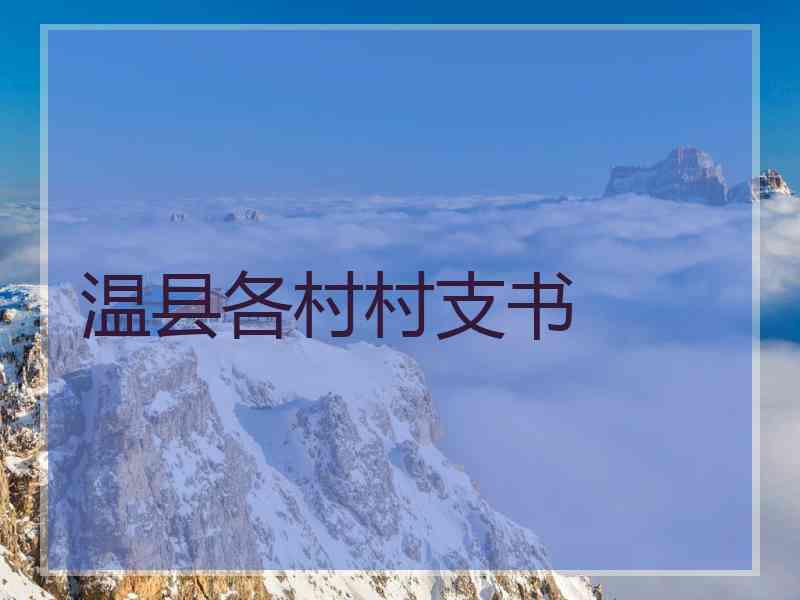 温县各村村支书 温县各村村支书