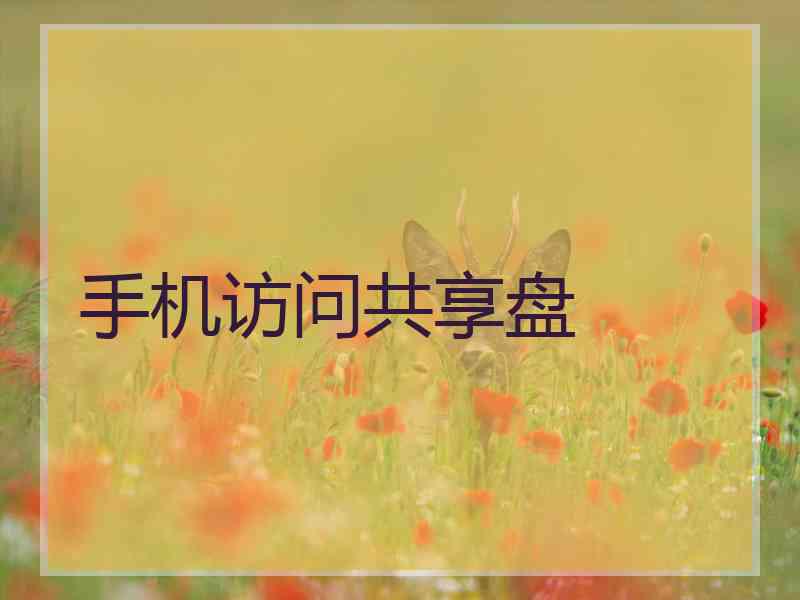 手机访问共享盘 手机访问共享盘