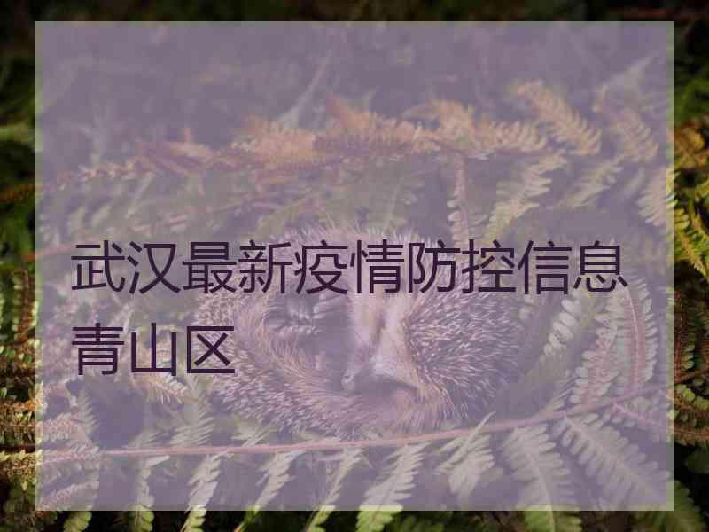 武汉最新疫情防控信息青山区 武汉最新疫情防控信息青山区