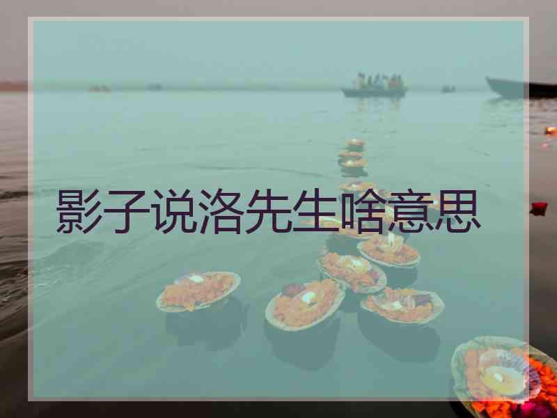 影子说洛先生啥意思 影子说洛先生啥意思