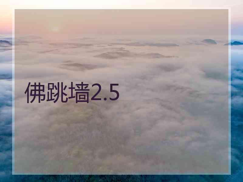 佛跳墙2.5 佛跳墙2.5