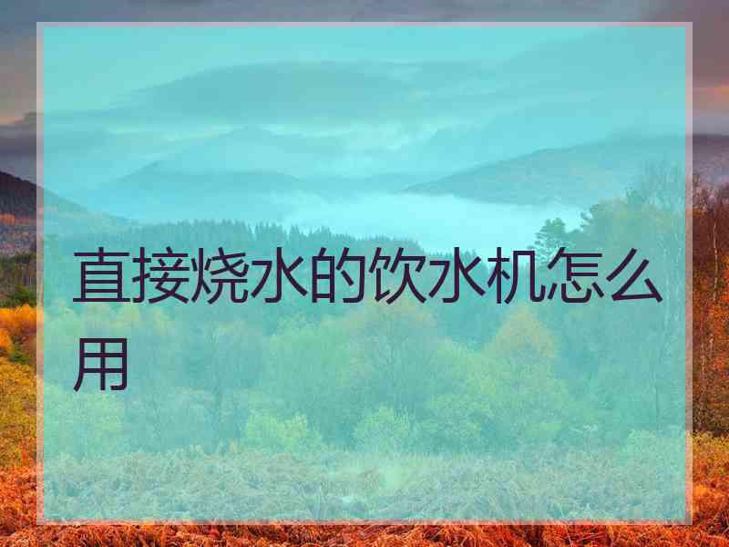 直接烧水的饮水机怎么用 直接烧水的饮水机怎么用