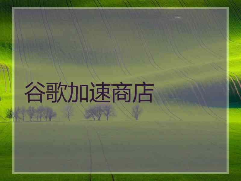 谷歌加速商店 谷歌加速商店