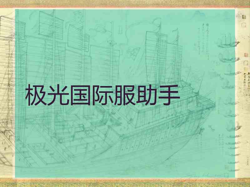 极光国际服助手 极光国际服助手