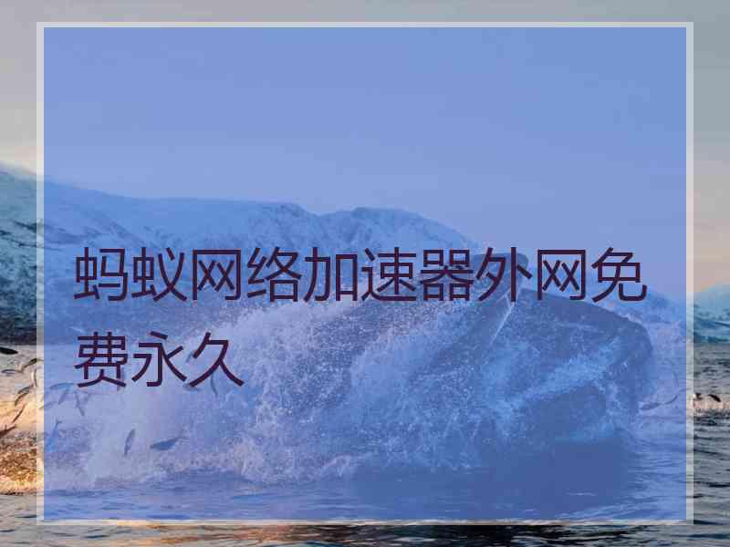 蚂蚁网络加速器外网免费永久 蚂蚁网络加速器外网免费永久