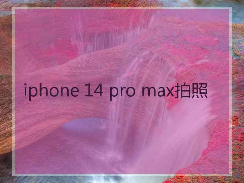 iphone 14 pro max拍照 iphone 14 pro max拍照