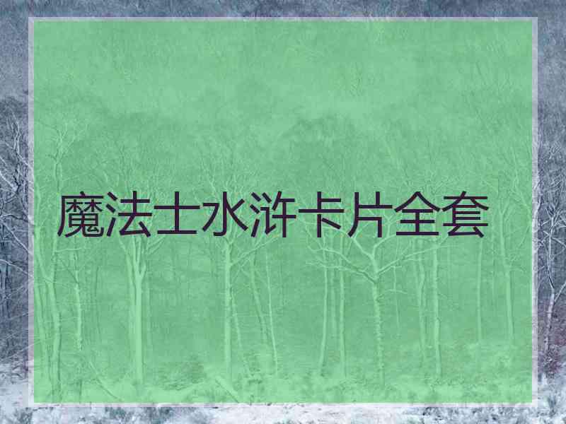 魔法士水浒卡片全套 魔法士水浒卡片全套