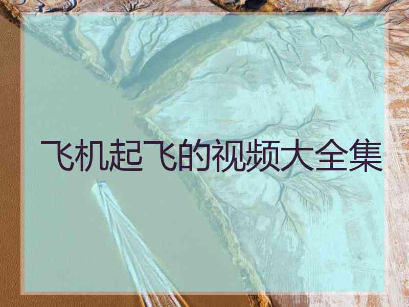 飞机起飞的视频大全集 飞机起飞的视频大全集