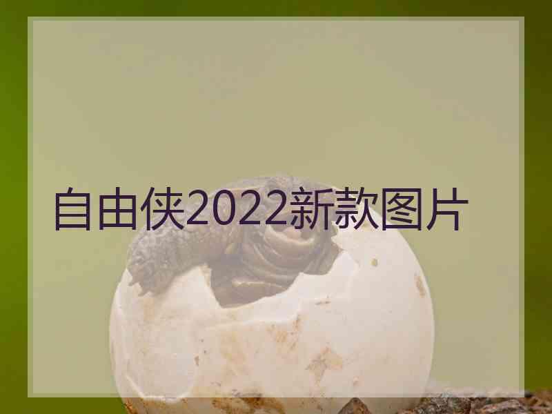 自由侠2022新款图片 自由侠2022新款图片
