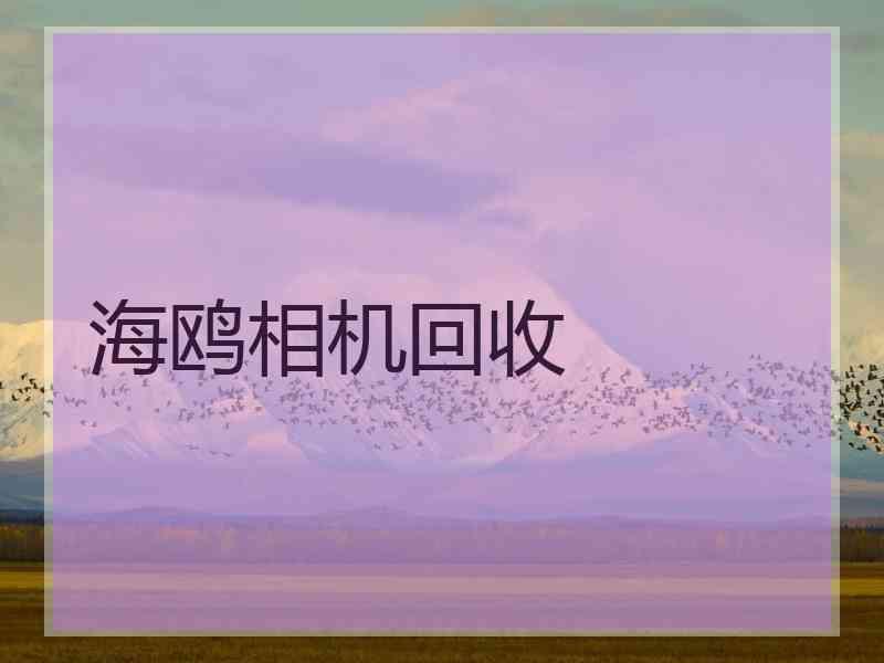 海鸥相机回收 海鸥相机回收