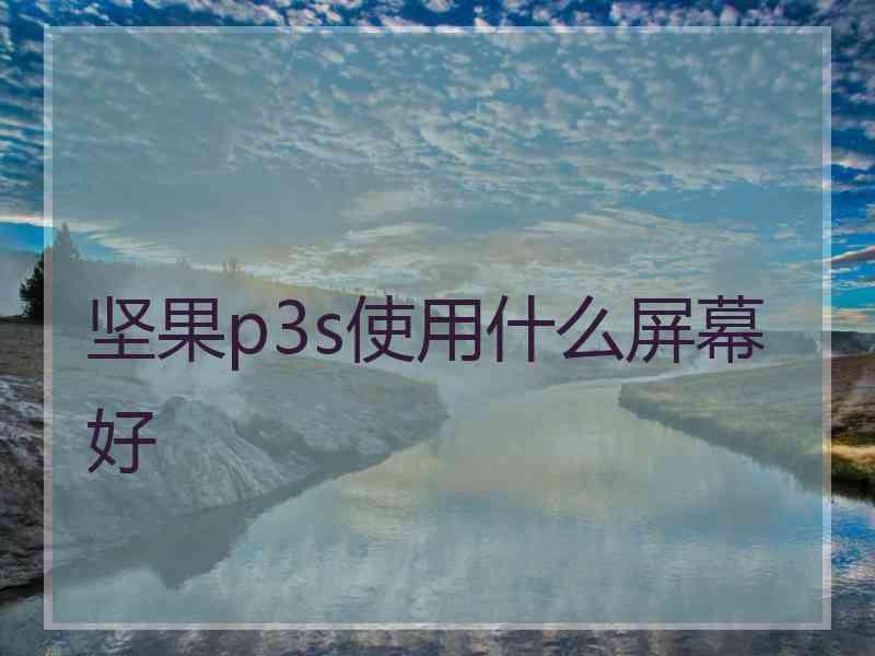 坚果p3s使用什么屏幕好 坚果p3s使用什么屏幕好
