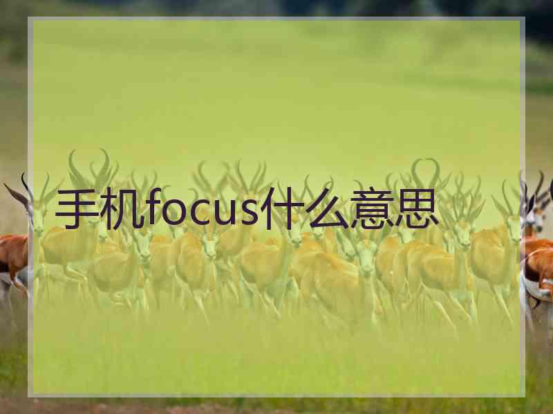 手机focus什么意思 手机focus什么意思