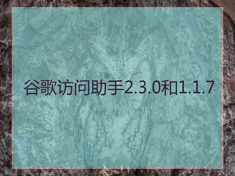 谷歌访问助手2.3.0和1.1.7 谷歌访问助手2.3.0和1.1.7
