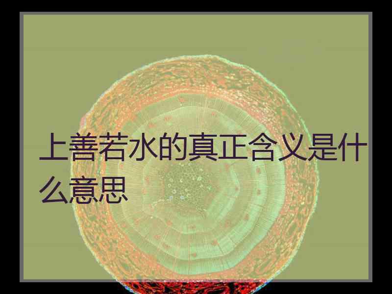 上善若水的真正含义是什么意思 上善若水的真正含义是什么意思