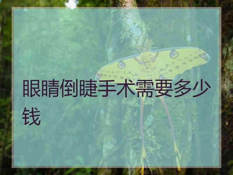 眼睛倒睫手术需要多少钱 眼睛倒睫手术需要多少钱