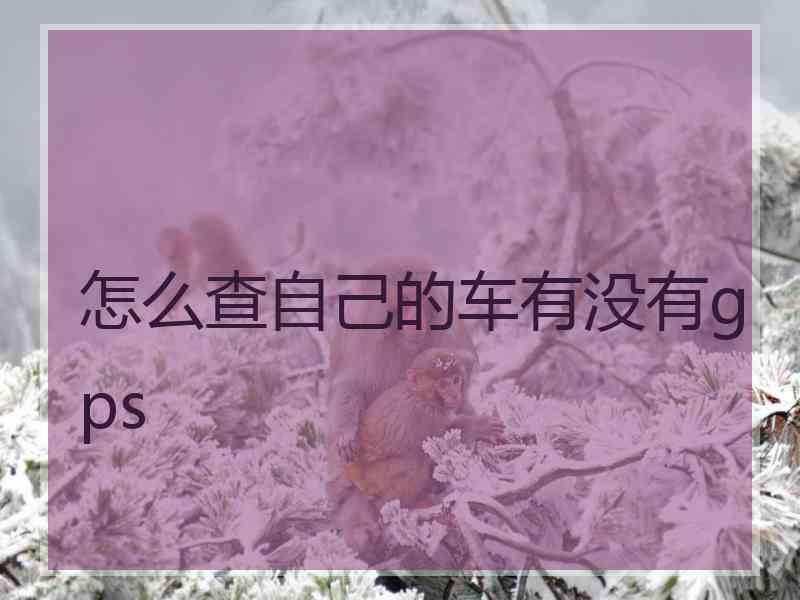 怎么查自己的车有没有gps 怎么查自己的车有没有gps