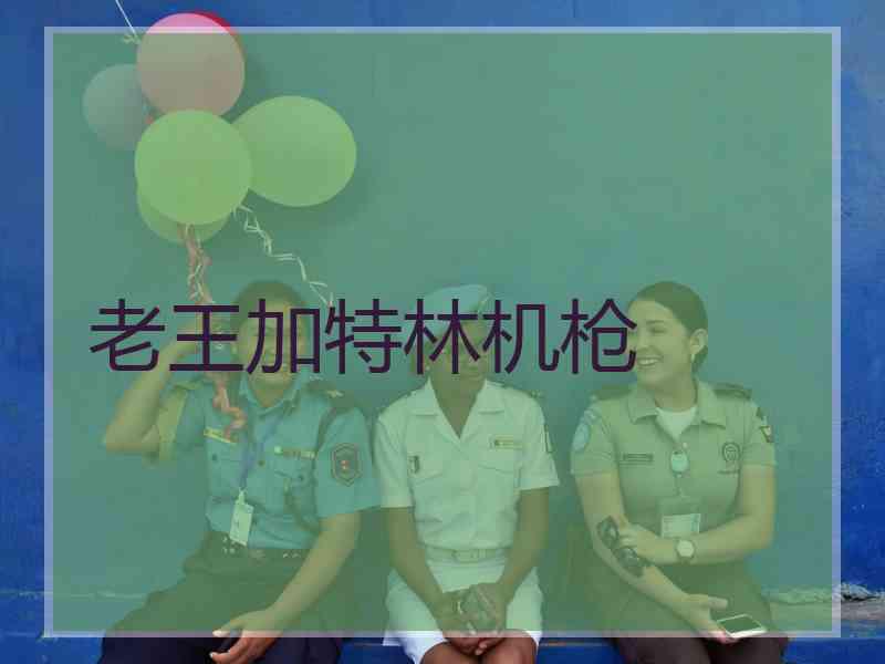 老王加特林机枪 老王加特林机枪