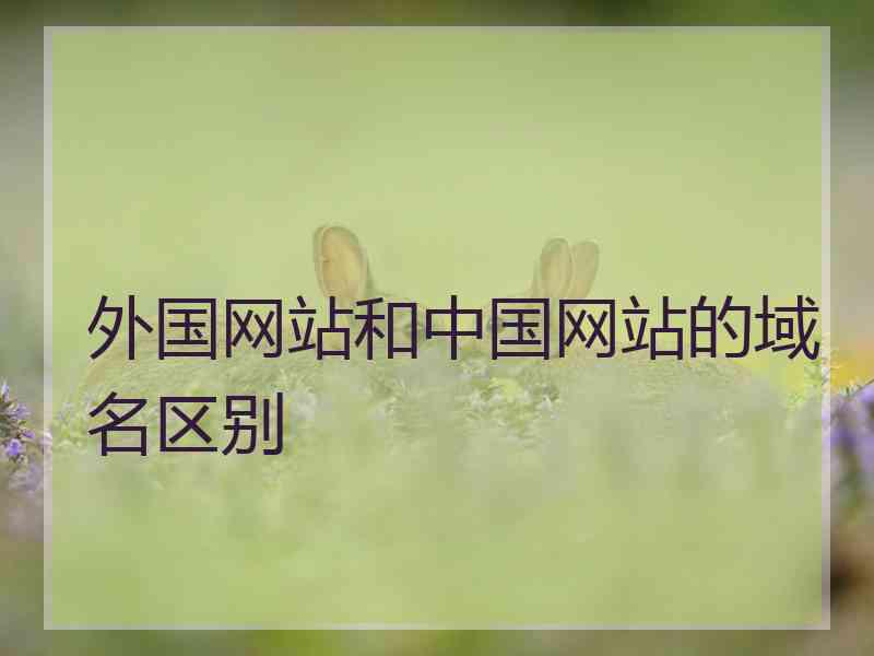 外国网站和中国网站的域名区别 外国网站和中国网站的域名区别