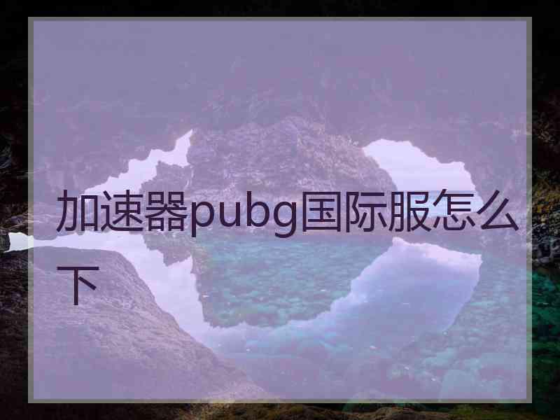 加速器pubg国际服怎么下 加速器pubg国际服怎么下