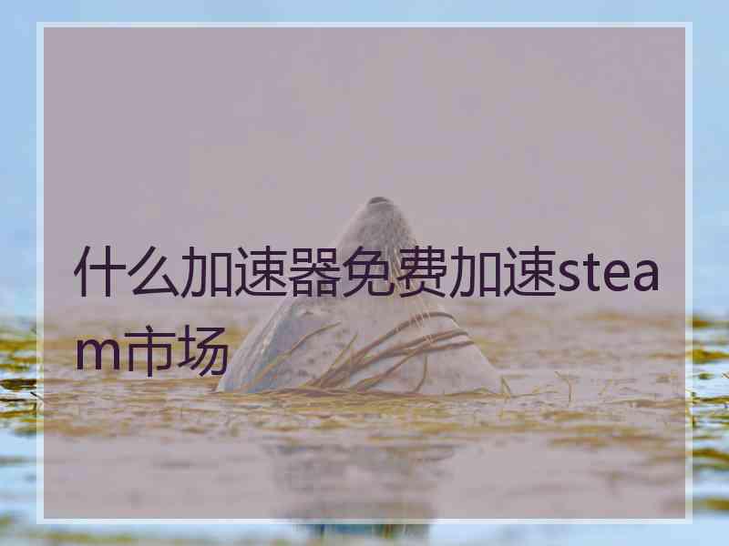 什么加速器免费加速steam市场 什么加速器免费加速steam市场
