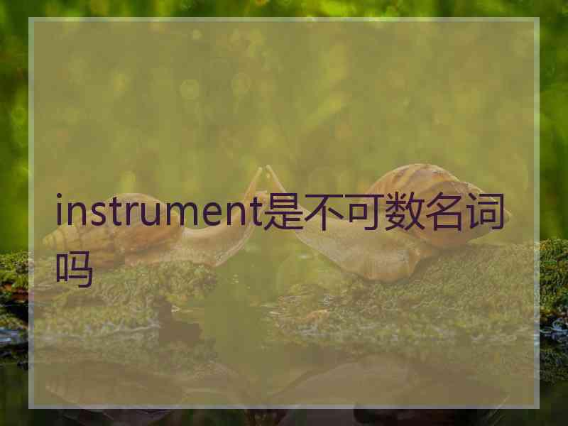 instrument是不可数名词吗 instrument是不可数名词吗