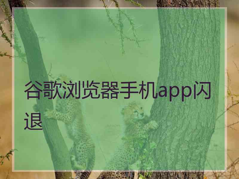 谷歌浏览器手机app闪退 谷歌浏览器手机app闪退