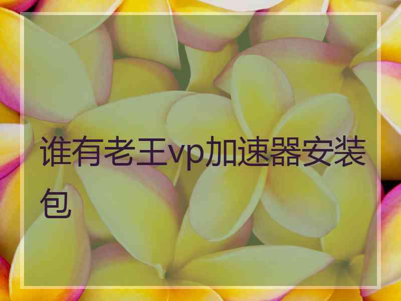 谁有老王vp加速器安装包 谁有老王vp加速器安装包