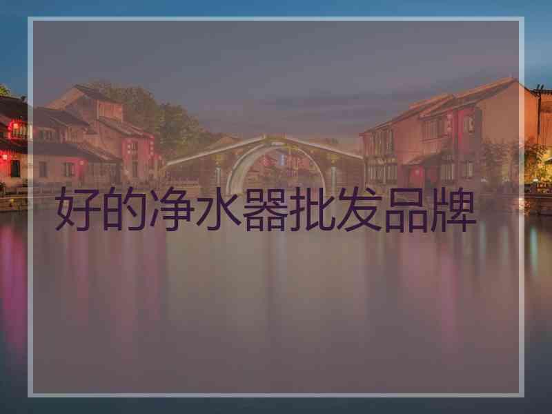 好的净水器批发品牌 好的净水器批发品牌