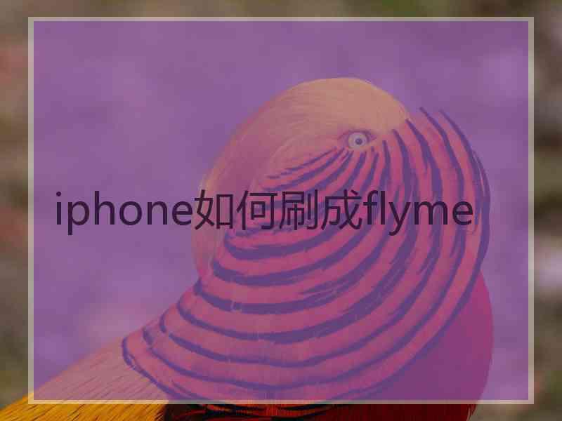 iphone如何刷成flyme iphone如何刷成flyme