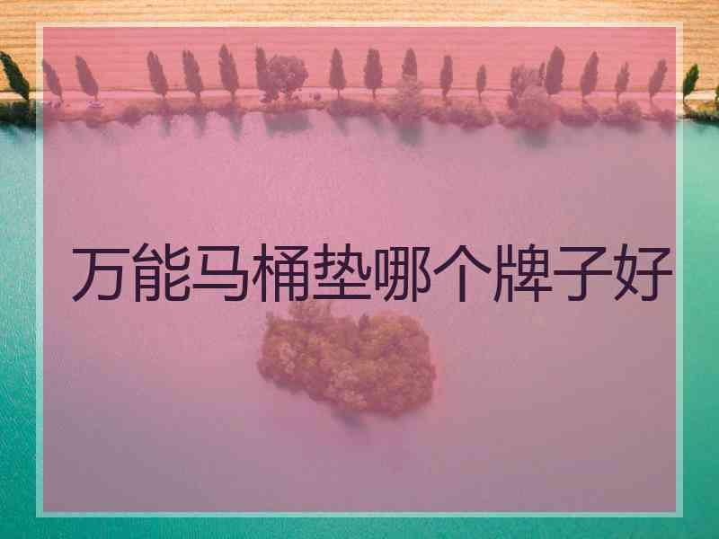 万能马桶垫哪个牌子好 万能马桶垫哪个牌子好