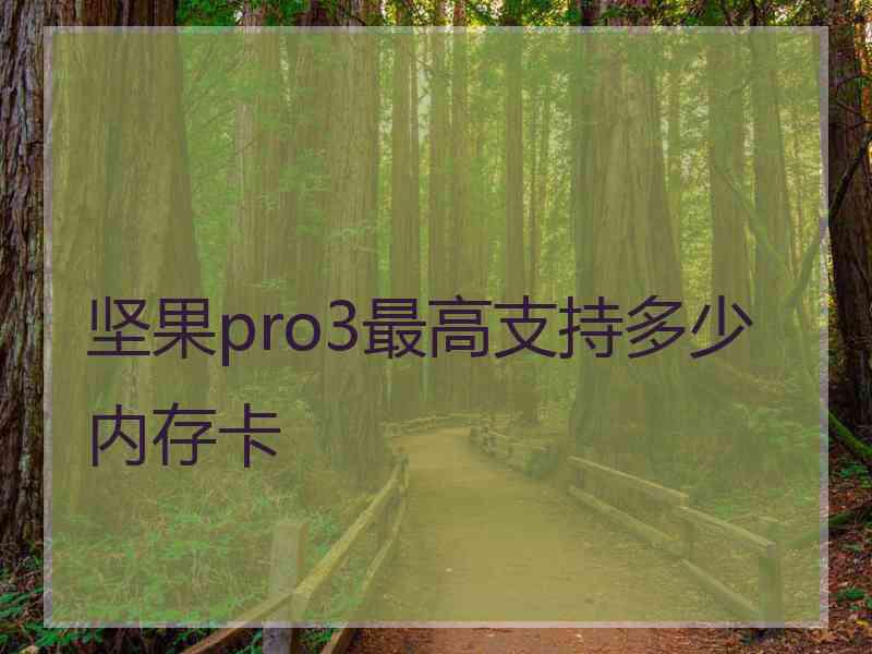 坚果pro3最高支持多少内存卡 坚果pro3最高支持多少内存卡