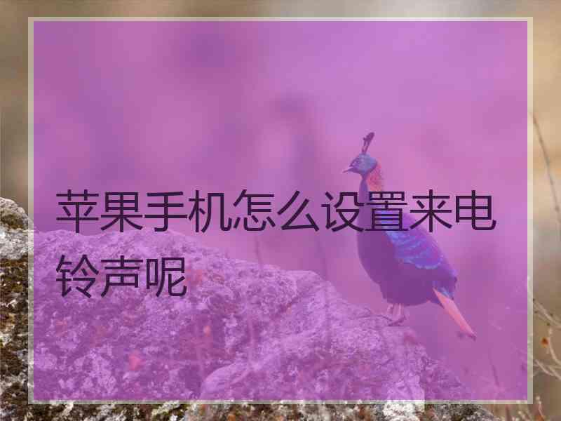 苹果手机怎么设置来电铃声呢 苹果手机怎么设置来电铃声呢