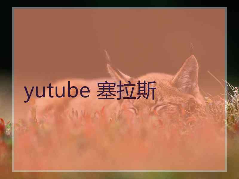 yutube 塞拉斯 yutube 塞拉斯