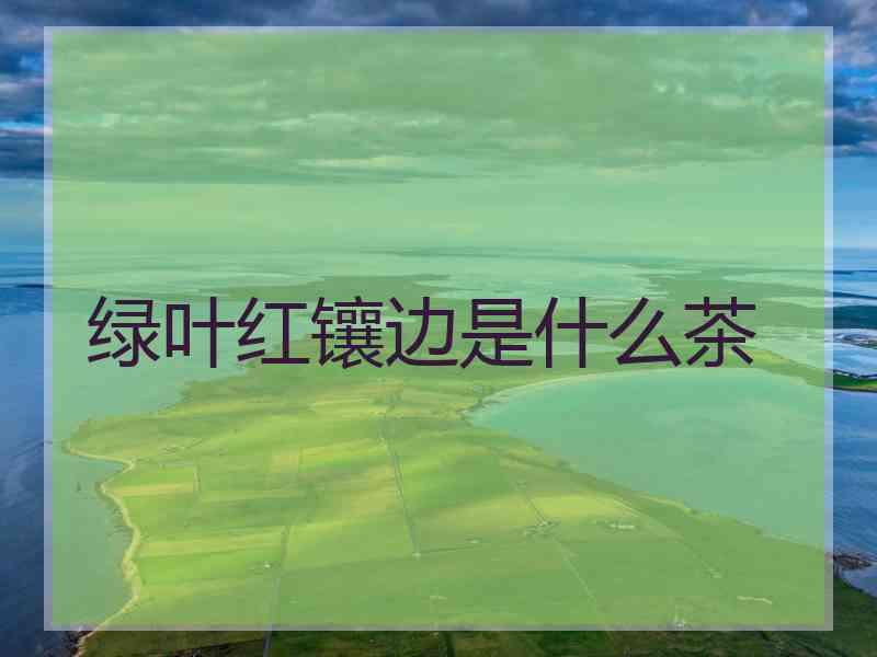 绿叶红镶边是什么茶 绿叶红镶边是什么茶