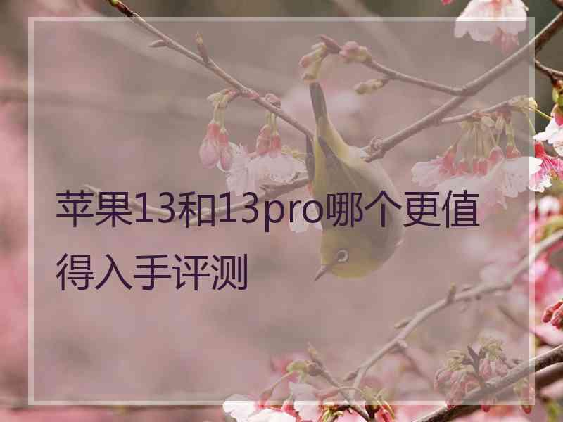 苹果13和13pro哪个更值得入手评测 苹果13和13pro哪个更值得入手评测
