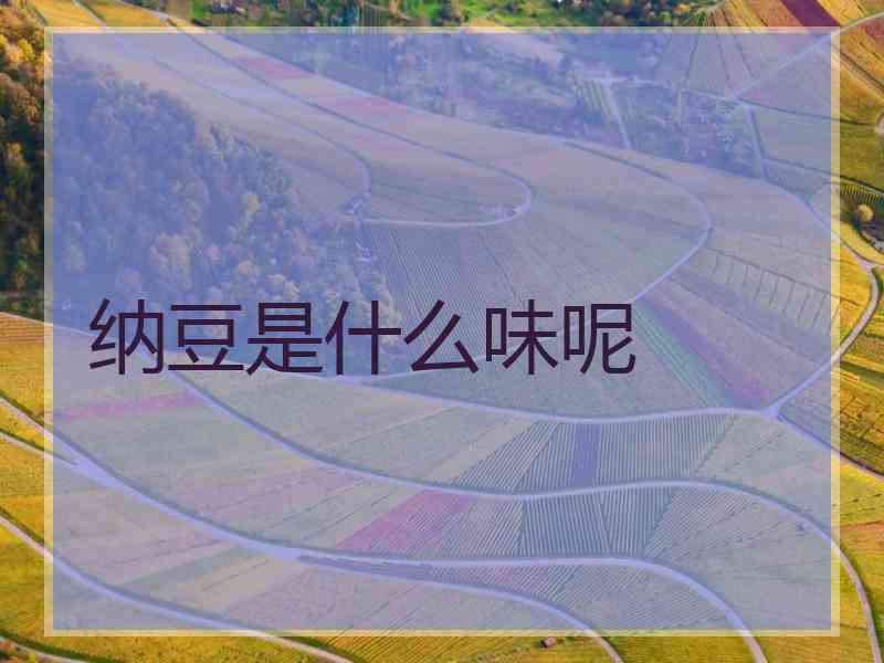 纳豆是什么味呢 纳豆是什么味呢