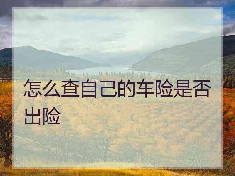 怎么查自己的车险是否出险 怎么查自己的车险是否出险