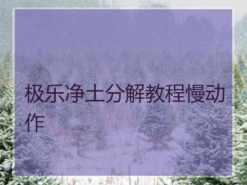 极乐净土分解教程慢动作 极乐净土分解教程慢动作