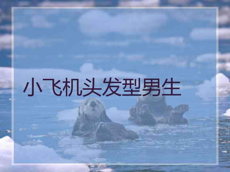 小飞机头发型男生 小飞机头发型男生