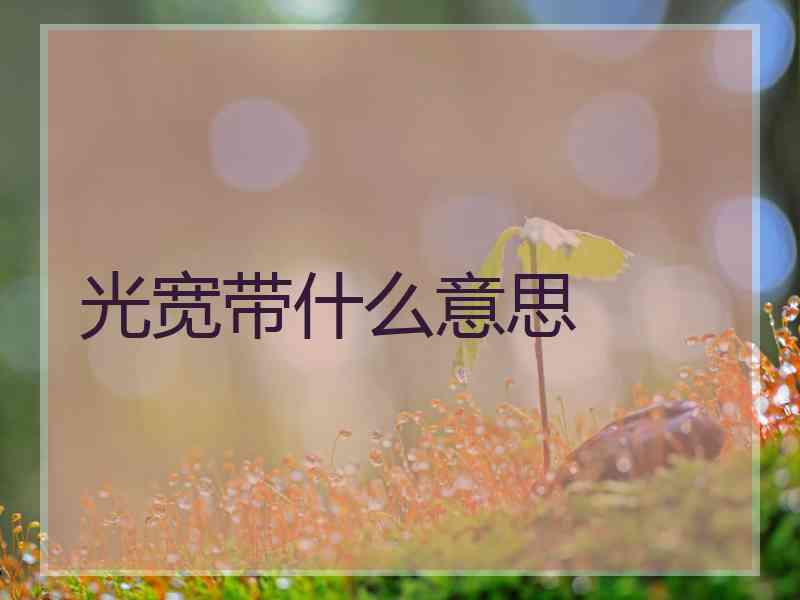 光宽带什么意思 光宽带什么意思
