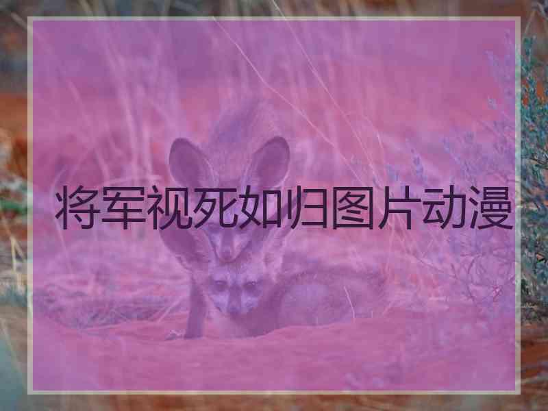 将军视死如归图片动漫 将军视死如归图片动漫