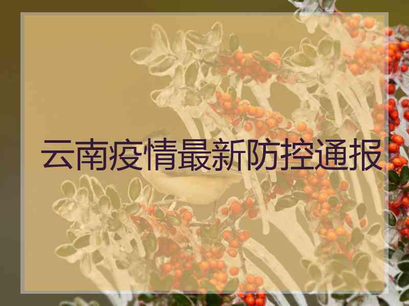 云南疫情最新防控通报 云南疫情最新防控通报