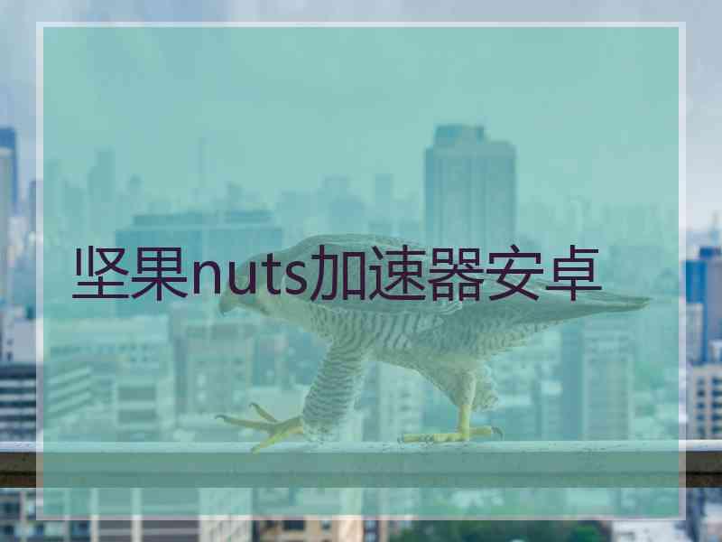 坚果nuts加速器安卓 坚果nuts加速器安卓