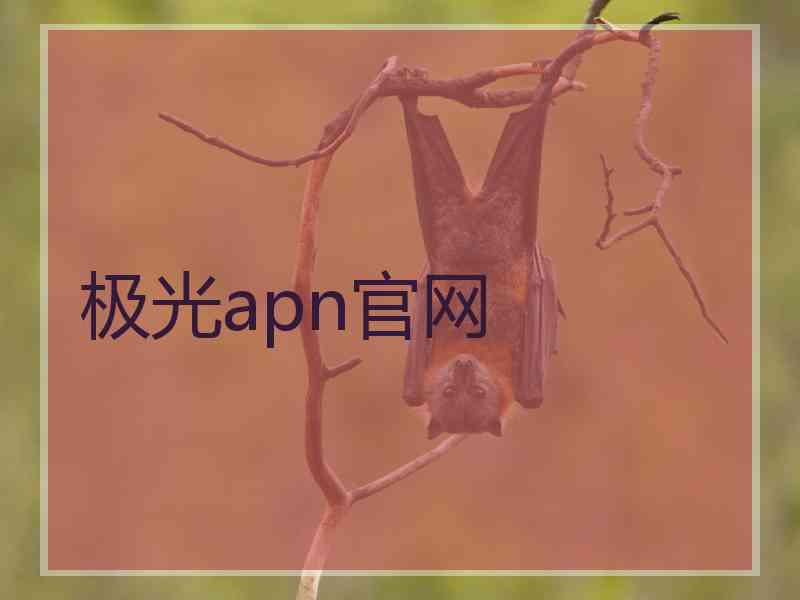 极光apn官网 极光apn官网